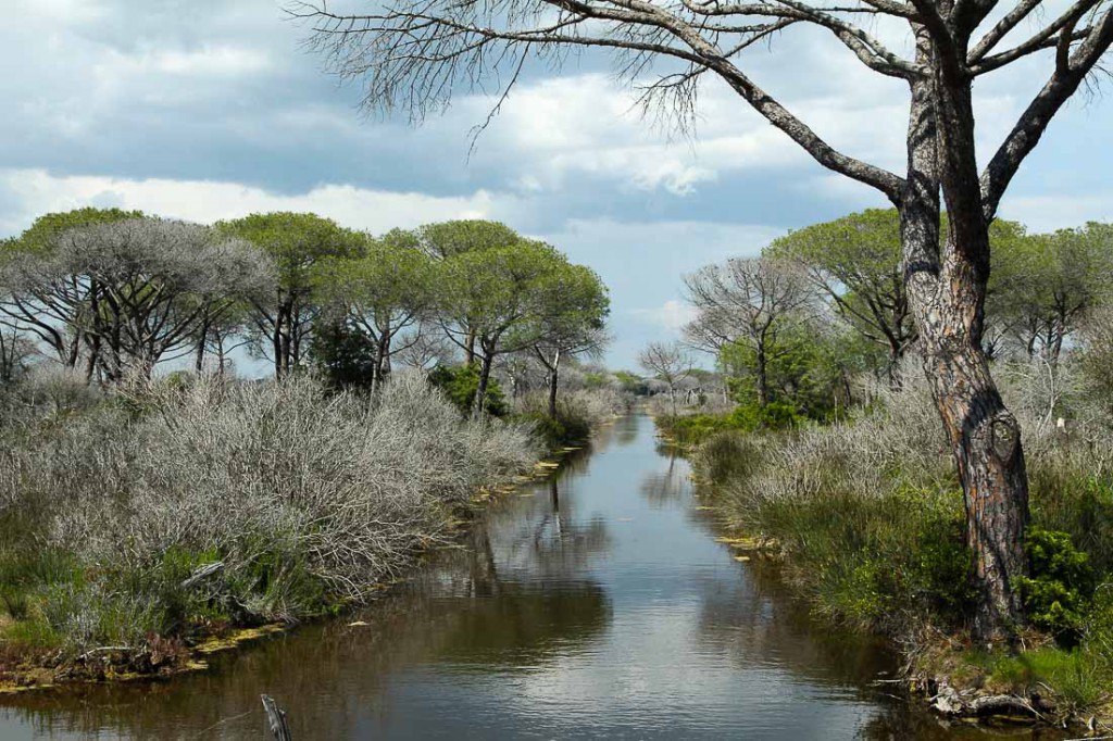 Parco Naturale Della Maremma Itinerari E Percorsi Enjoy Maremma